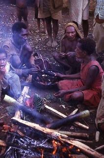 Women preparing food in bamboo pipes. See text. Okapa 1968. Photo AJR. Photo AJR