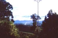 Okapa Valley, Eastern Highlands District, TPNG. Photo AJR