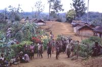 Typical ridge-top village, Okapa, 1968. Photo AJR