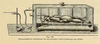 An animal plethymograph.