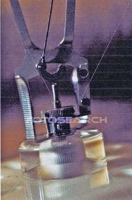 SCHIOTZ CLOSEUP.jpg